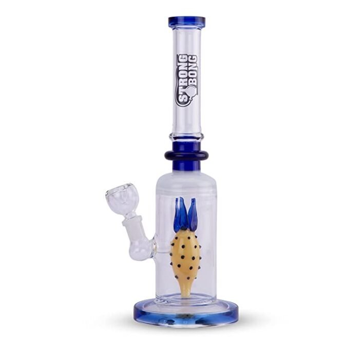 Glass Pineapple Percolator Bong 12" | Super Thick